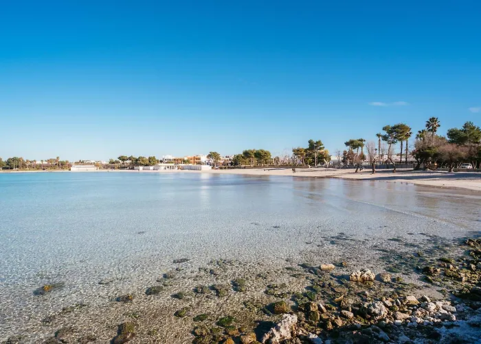 Grecale فيلة *